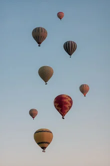 Hot Air Balloon Flock - Fineart photography by AJ Schokora