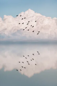 Fotokunst: Eine surrealistische Vogelgruppe spiegelt sich im ruhigen Wasser eines Sees.