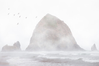 AJ Schokora, Oregon!