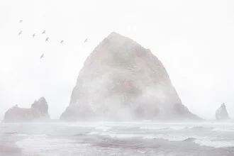 Oregon! - Fineart photography by AJ Schokora