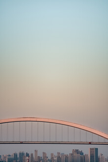 AJ Schokora, Shanghai Twilight