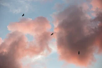 Soft clouds over a tranquil evening sky with pastel hues.