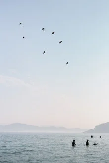 Photo art: Silhouettes of birds over calm water in soft pastel hues
