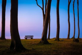 Beautiful bench overlooking the sea, surrounded by trees and a calm atmosphere