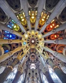 Colorful photo art featuring a color wheel that radiates harmony and creativity.