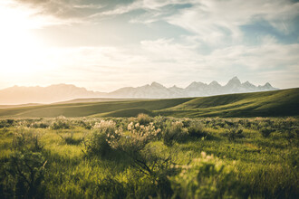 Leander Nardin, Grand Tetons And Grassland