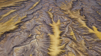 Leander Nardin, golden veines from above