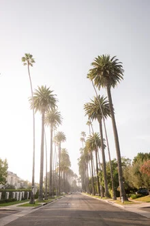 Photo art by Roman Becker: palm-lined alley in Los Angeles