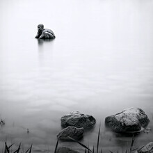 Ernst Pini, Kunst im Bodensee: 