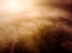 Morning fog atmosphere with soft colors and a calm road