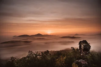 Morgenstimmung im Pfälzerwald mit sanften Nebelschwaden über den Felsen.
