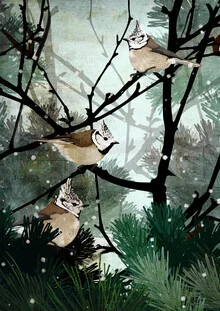Wall art by Katherine Blower: cute crested tits in a wintery setting
