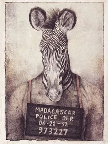 Wall art by Mike Koubou: playful zebra illustration in jungle style