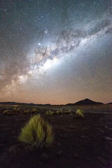 Photo art by Felix Dorn: starry sky over the Andes mountains in Bolivia