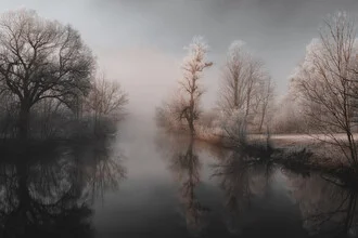 Photo art by Franz Sussbauer: mystical morning mood by the water with trees and fog