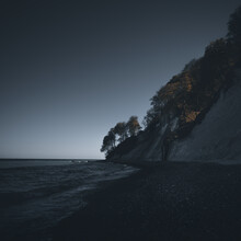 Tillmann Konrad, Last trees standing