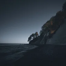 Last trees standing - Fineart photography by Tillmann Konrad