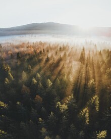 Patrick Monatsberger, Sonnenaufgang Fichtelgebirge (Deutschland, Europa)