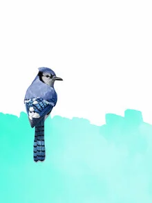 Illustration of a blue bird in an abstract style with soft lines and shapes.
