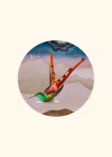 Illustration of colorful birds in a harmonious collage