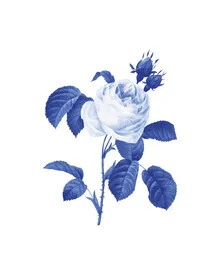Wall art featuring botanical elements in gentle blue tones with a minimalist composition