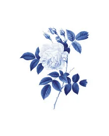 Wall art featuring blue botanical elements in gentle, minimalist tones
