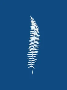 Wall art in blue by Seven Trees Design: minimal botanical illustration