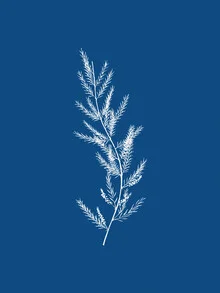 Wall art featuring a minimalist botanical design in blue by Seven Trees Design