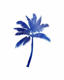Illustration of a blue palm tree, creating a calm atmosphere.