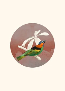 Wall art featuring colorful birds, soft tones and harmonious composition