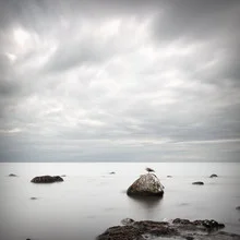 Photo art by Michael Schulz-dostal: calm seascape with clouds and seagull