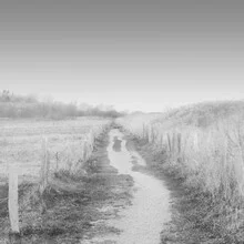 Photo art by Dennis Wehrmann: a misty path leading to uncertainty