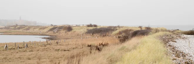 Panoramic view of the Baltic Sea with gentle waves and grass in the foreground