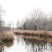 Photo art by Dennis Wehrmann: serene river landscape with tree and gentle mist.