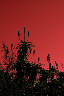 Daniel Simair, red sky
