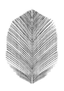 Dan Hobday, Feather