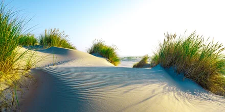 Photo art by Vision Praxis: Spiekeroog dune at the North Sea beach