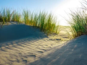 Photo art by Vision Praxis: serene dune on the North Sea island of Spiekeroog