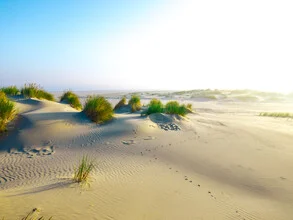 Photo art by Vision Praxis: serene dune landscape on Langeoog, East Frisian Islands