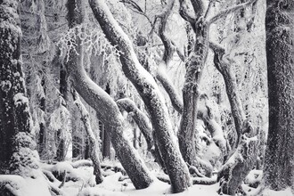 Alex Wesche, Winter Labyrinth