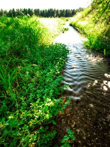 Photo art by Vision Praxis: tranquil landscape of Bad Säckingen, soft colors and harmonious composition.