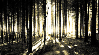 Vision Praxis, Bad Säckingen #7 (Germany, Europe)