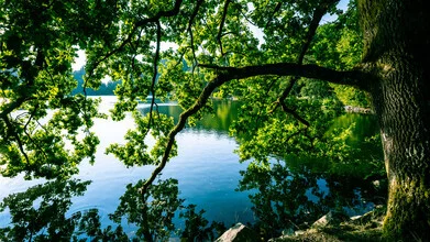 Photo art by Vision Praxis: serene landscape with gentle hills and a cloudy sky