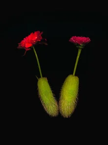 Photo art by Ramona Reimann: a dark vase with colorful flowers.