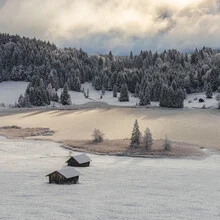 Winter landscape with snow-covered trees and a frozen lake in the morning light