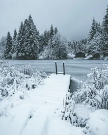 Snow-covered jetty surrounded by trees, capturing winter tranquility by the lake.