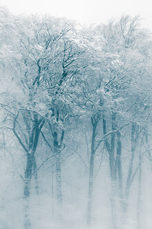 Sebastian Worm, Winterwald