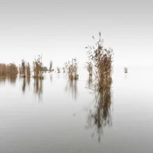 Photo art by Ronny Behnert: tranquil landscape featuring a lake with soft mist