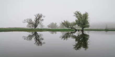 Fotokunst von Thomas Wegner: Flusslandschaft mit Nebel und herbstlichen Bäumen
