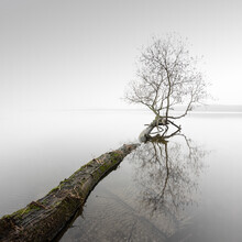 Ronny Behnert, The Wind Stands Silent